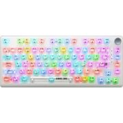 DEFENDER Atomic Core GK-363 RU,3в1,прозр,81кн+FN,RGB,АКБ